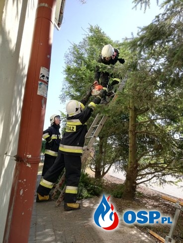 Działania w Młodzieżowym Ośrodku Socjoterapii w Studzieńcu. OSP Ochotnicza Straż Pożarna