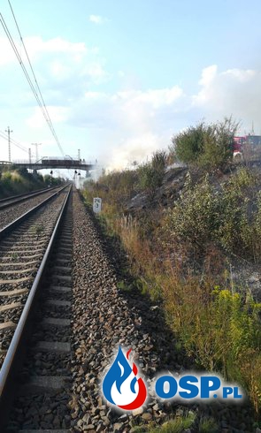 Pożar trawy na nasypie kolejowym OSP Ochotnicza Straż Pożarna