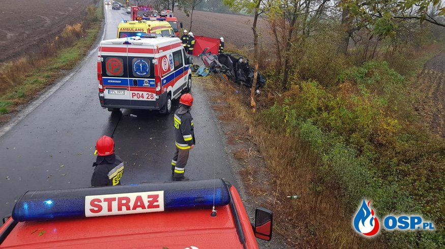 Opel roztrzaskał się o drzewo, kierowca wypadł z auta OSP Ochotnicza Straż Pożarna