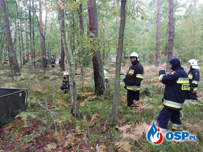 Ćwiczenia - "Pożar Lasu" OSP Ochotnicza Straż Pożarna