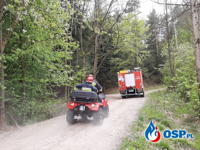 Pożar sterty gałęzi w lesie - 26 kwietnia 2020r. OSP Ochotnicza Straż Pożarna