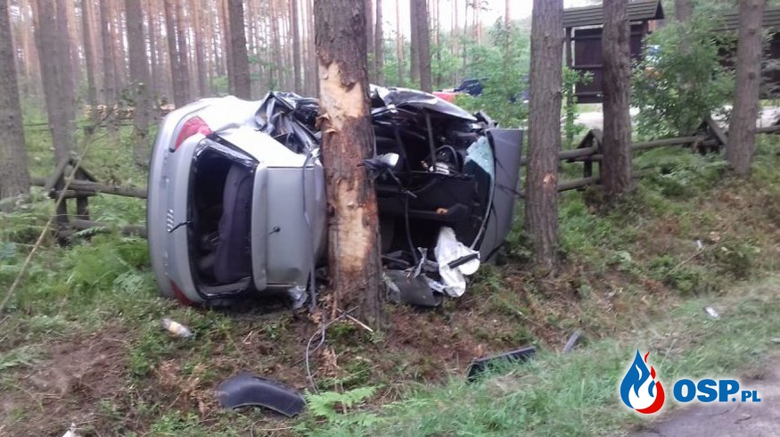 Audi zawinęło się wokół drzewa. 20 i 21-latka zginęły na miejscu. OSP Ochotnicza Straż Pożarna