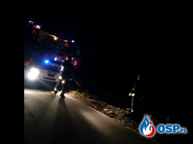 Złamane konary drzewa na trasie Biała – Solec OSP Ochotnicza Straż Pożarna
