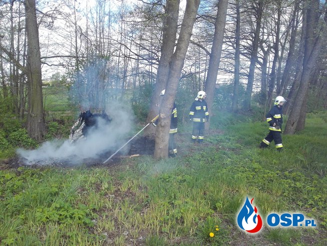 22.04.16 Pożar drzewa OSP Ochotnicza Straż Pożarna