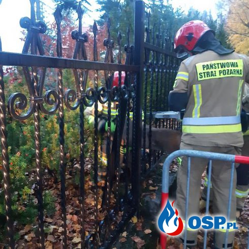 Sarna utknęła w ogrodzeniu. Z pomocą przyszli strażacy z Zakopanego. OSP Ochotnicza Straż Pożarna