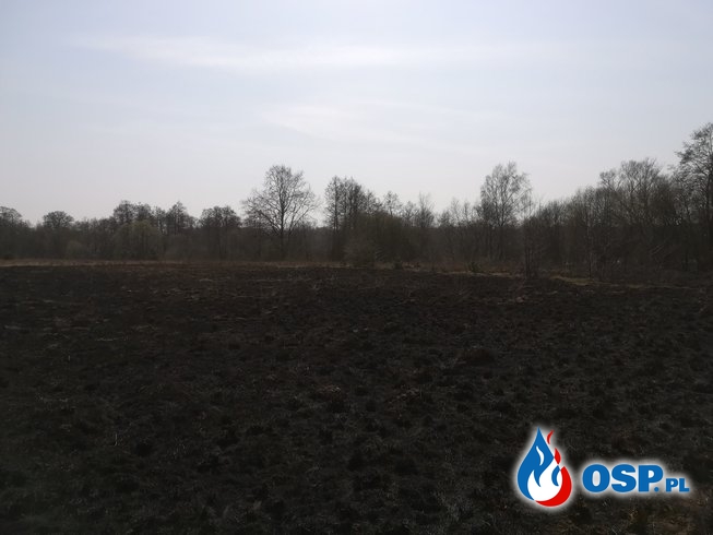 Pożar trawy Sochocin OSP Ochotnicza Straż Pożarna