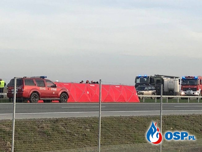 Cztery osoby zginęły w wypadku na S17. Auto wbiło się w naczepę ciężarówki. OSP Ochotnicza Straż Pożarna