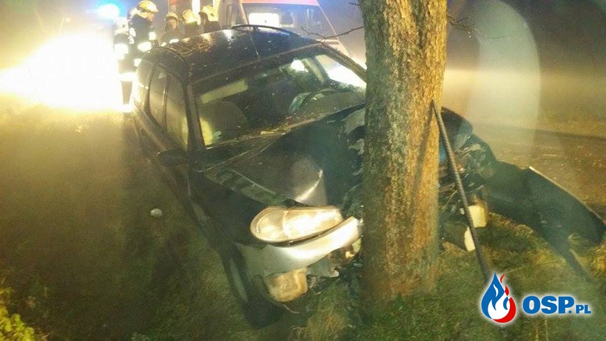 Stare Miasto - samochód osobowy uderzył w drzewo. OSP Ochotnicza Straż Pożarna