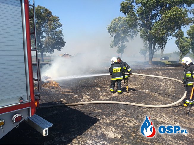 Działania ratowniczo-gaśnicze sierpień OSP Ochotnicza Straż Pożarna