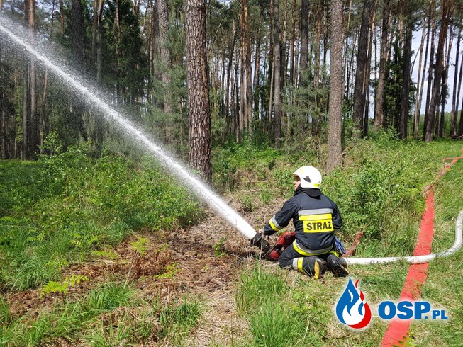 Niezapowiedziane ćwiczenia w lesie w Chrzelicach OSP Ochotnicza Straż Pożarna