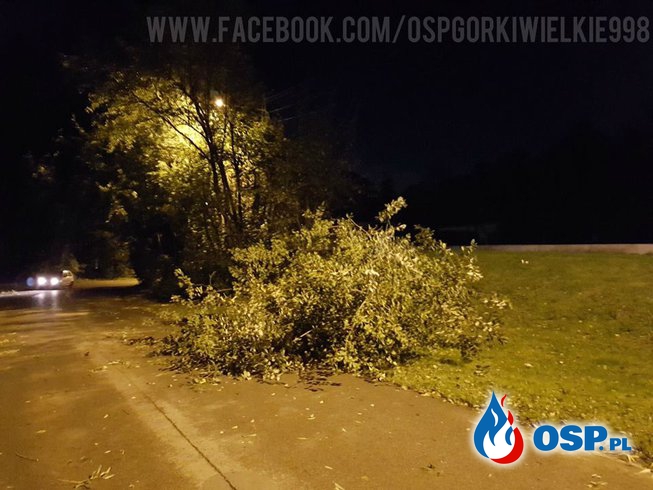 Wiatr łamał drzewa OSP Ochotnicza Straż Pożarna