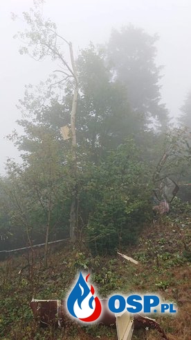 Wiatrakowiec rozbił się w Beskidach. Dwie osoby ranne OSP Ochotnicza Straż Pożarna