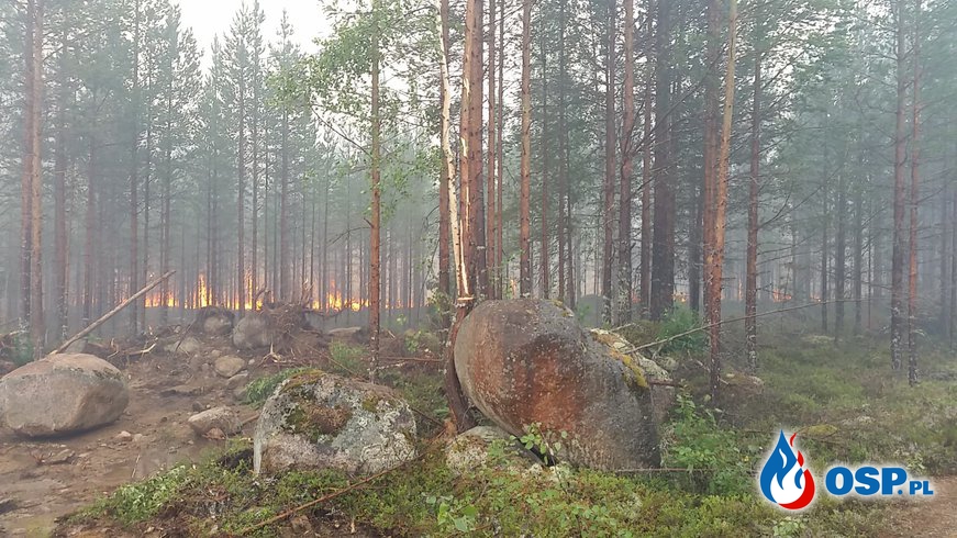 Szwecja: Polscy strażacy bronią miejscowości. Ewakuowano mieszkańców.  [FILM] OSP Ochotnicza Straż Pożarna