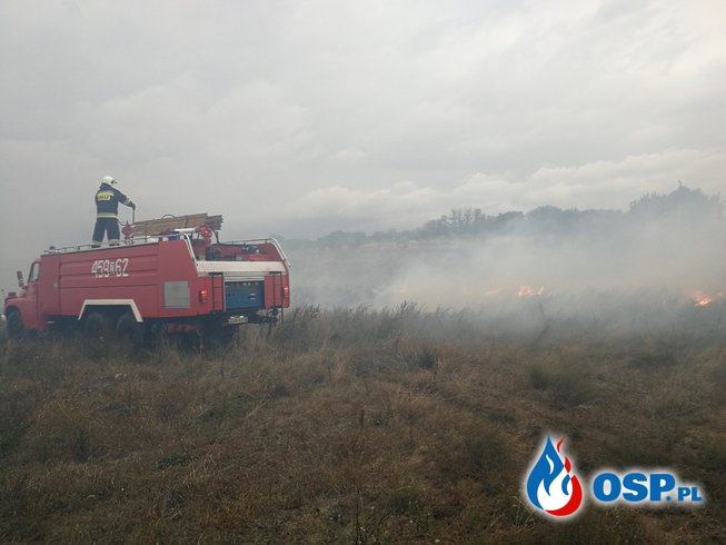 8 hektarów w ogniu OSP Ochotnicza Straż Pożarna