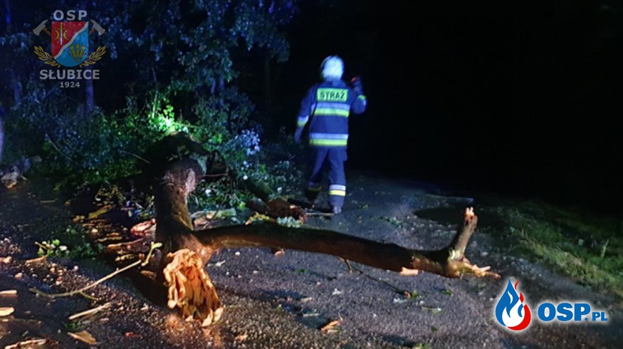 Drzewo upadło na drogę OSP Ochotnicza Straż Pożarna