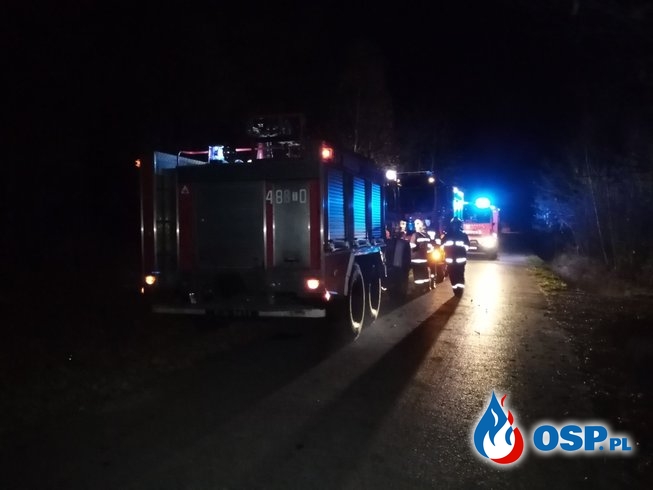 [27.10.2019] - Pożar poszycia leśnego - Płaczków-Piechotne OSP Ochotnicza Straż Pożarna