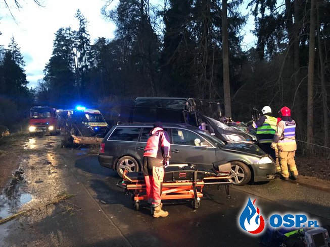 Dwie ofiary śmiertelne, uszkodzone wozy strażackie. Groźna wichura przechodzi nad Polską. OSP Ochotnicza Straż Pożarna