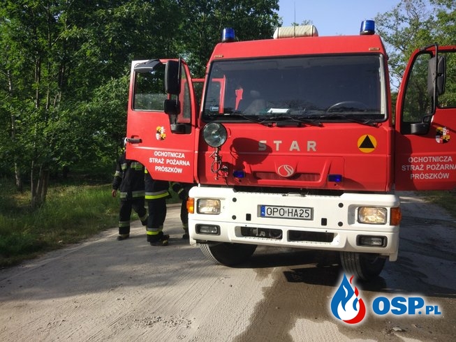 Pożar lasu w Ligocie Prószkowskiej OSP Ochotnicza Straż Pożarna