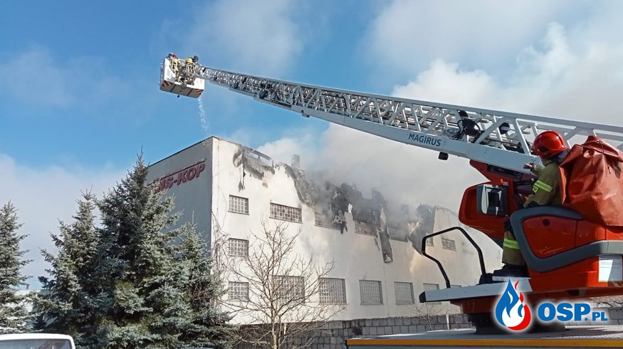 18 zastępów strażaków gasi pożar pod Poznaniem. Płonie dach budynku. OSP Ochotnicza Straż Pożarna