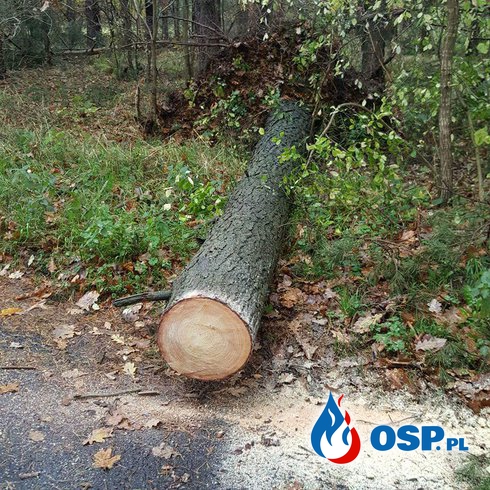Pieski -kolejne drzewo blokowalo drogę OSP Ochotnicza Straż Pożarna