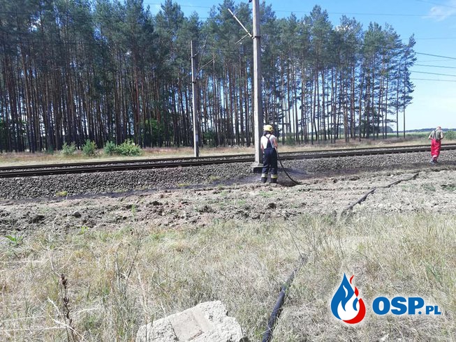 Pożar na nasypie kolejowym na trasie Bytnica-Budachów 29.06.2018 OSP Ochotnicza Straż Pożarna