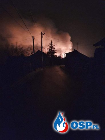 Nocny pożar domu w Rudniku nad Sanem. Właściciel zdołał uciec przed płomieniami. OSP Ochotnicza Straż Pożarna