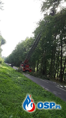 [32/2017] Złamane drzewo, Zwonowice ul. Sumińska OSP Ochotnicza Straż Pożarna