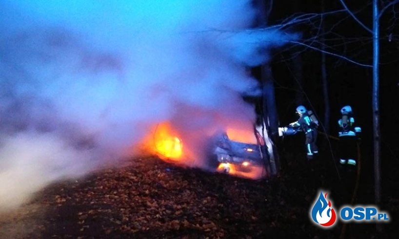 Auto zapaliło się po zderzeniu z drzewem. Nie wiadomo, kto nim kierował. OSP Ochotnicza Straż Pożarna