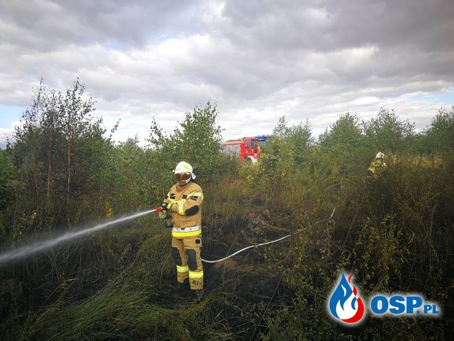 Pożar terenów leśnych niedaleko Morynia OSP Ochotnicza Straż Pożarna