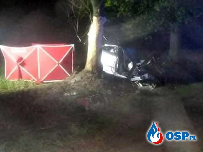 Seat rozbił się na drzewie. Zginął 19-letni kierowca. OSP Ochotnicza Straż Pożarna