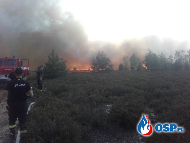 20.09-Pożar na poligonie w Świętoszowie OSP Ochotnicza Straż Pożarna
