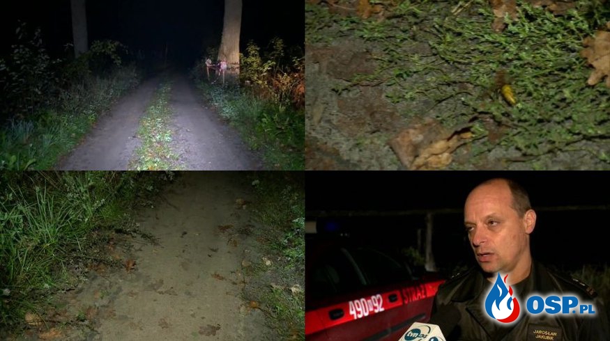 Rój szerszeni zaatakował 18 biegaczy w Mikołajkach! OSP Ochotnicza Straż Pożarna