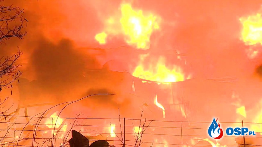 Strażaczka ranna podczas akcji. Płonie nielegalne składowisko odpadów we Wrocławiu. OSP Ochotnicza Straż Pożarna