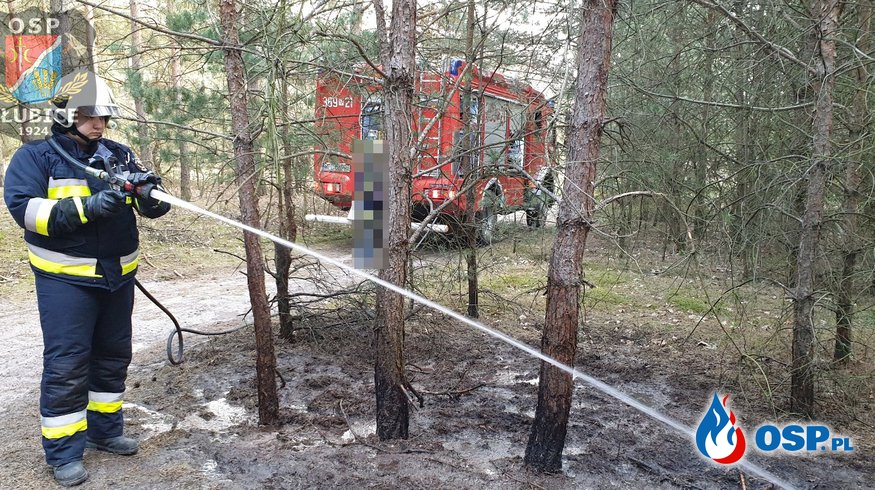W lesie pojawił się ogień OSP Ochotnicza Straż Pożarna