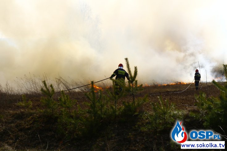 Wyjazd nr.8/2016 Pożar trawy i bel słomy pod Malawiczami OSP Ochotnicza Straż Pożarna