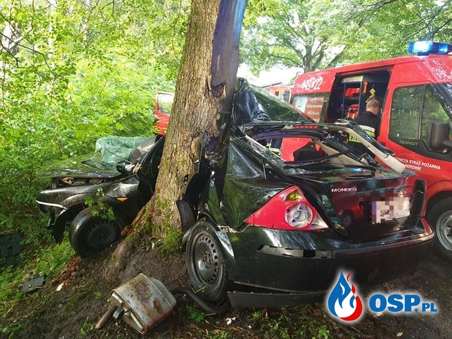 Ford owinięty wokół drzewa. Kierowca nie miał szans na przeżycie. OSP Ochotnicza Straż Pożarna