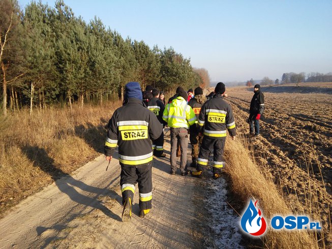 Poszukiwania osoby zaginionej w Krępie Kaszubskiej OSP Ochotnicza Straż Pożarna