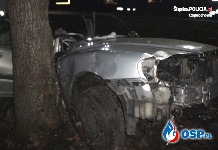 2-letnia dziewczynka zginęła, rodzice są ranni. Ich auto roztrzaskało się na drzewie. OSP Ochotnicza Straż Pożarna