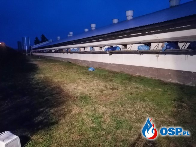 Pożar kurnika w miejscowości Samborowo OSP Ochotnicza Straż Pożarna