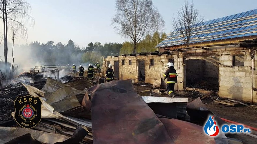 Spłonęło 17 budynków, w akcji 100 strażaków. Ogromny pożar pod Wyszkowem. OSP Ochotnicza Straż Pożarna