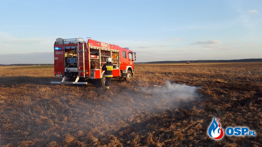 Pożar traw w Suchodańcu. OSP Ochotnicza Straż Pożarna