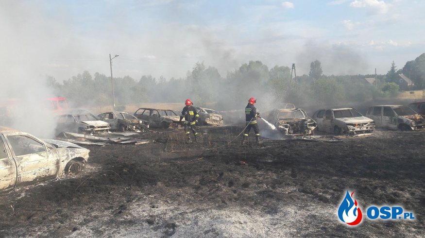 Ponad 20 samochodów spłonęło w województwie lubuskim! OSP Ochotnicza Straż Pożarna
