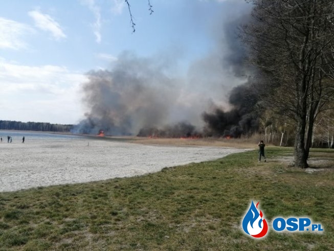 "Nawet w święta podpalacze nie odpuszczają". Akcja gaśnicza nad jeziorem Piaseczno. OSP Ochotnicza Straż Pożarna