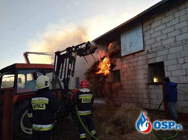 Ponad 120 strażaków gasiło pożar budynku gospodarczego OSP Ochotnicza Straż Pożarna