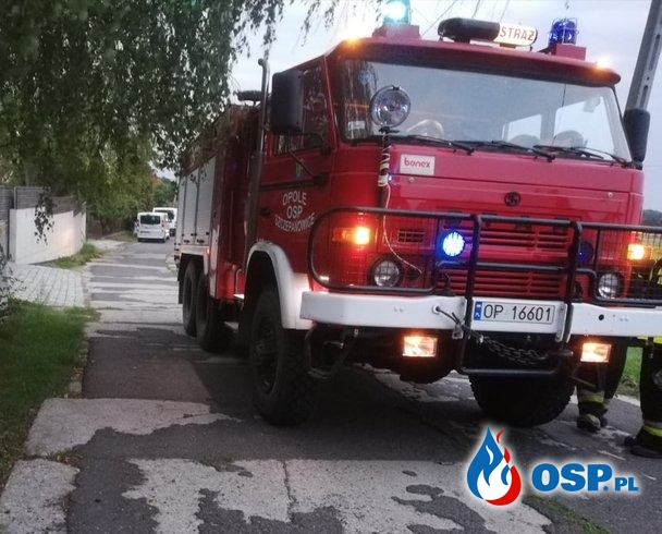 Pożar - Alarm fałszywy w dobrej wierze OSP Ochotnicza Straż Pożarna