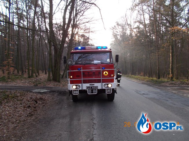 Wiszące konary OSP Ochotnicza Straż Pożarna