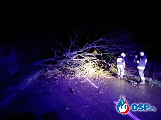 2019-01-02 Godz.4:50- powalone drzewo OSP Ochotnicza Straż Pożarna
