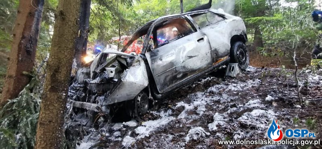 Pijany kierowca potrącił pieszych i rozbił auto na drzewie. Pojazd stanął w płomieniach. OSP Ochotnicza Straż Pożarna