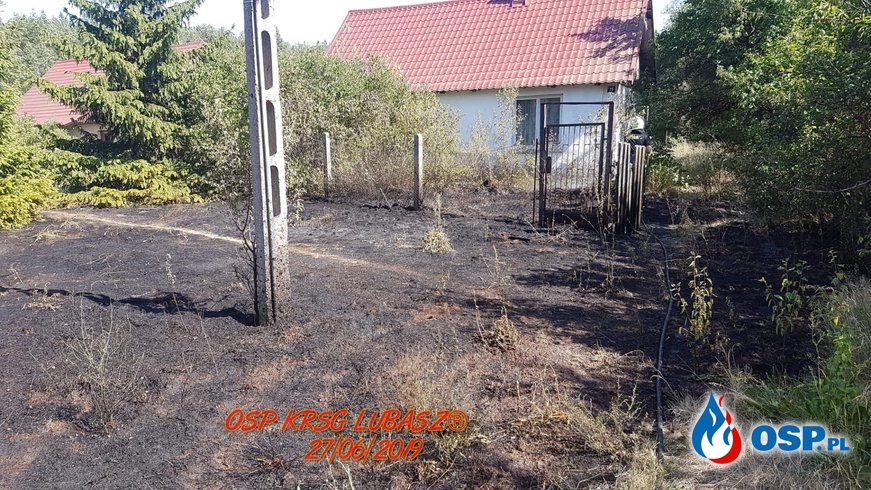 Pożar lasu w Antoniewie OSP Ochotnicza Straż Pożarna
