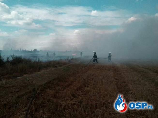 Pożar ścierniska w Perzowie OSP Ochotnicza Straż Pożarna